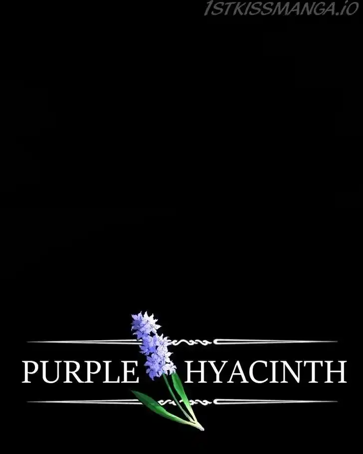 Purple Hyacinth Ch.140