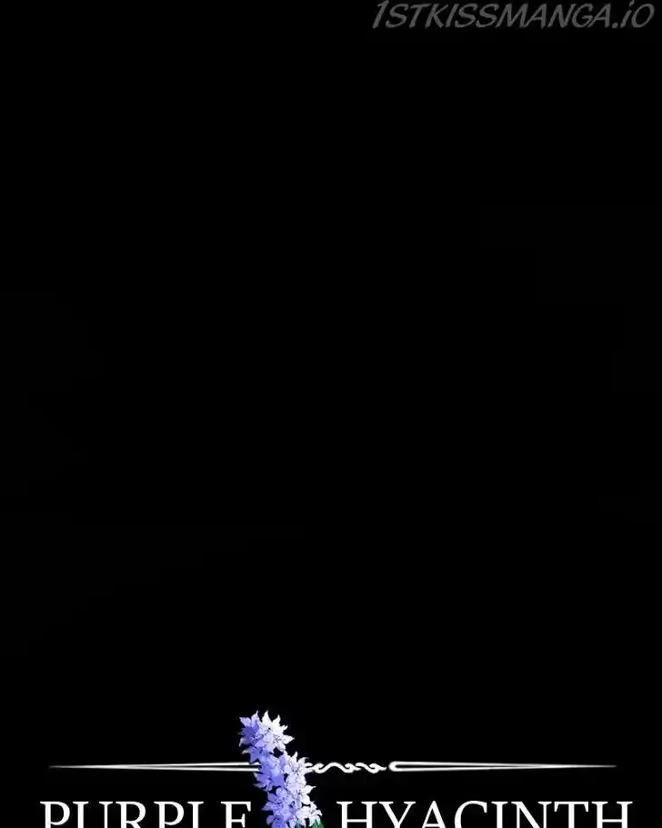 Purple Hyacinth Ch.142