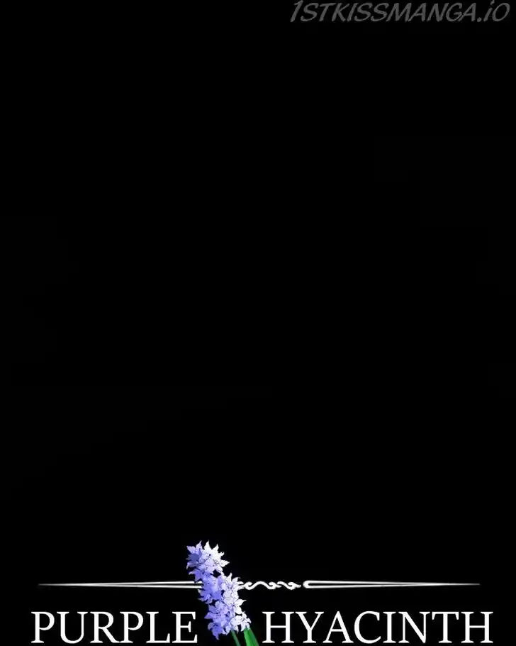 Purple Hyacinth Ch.143