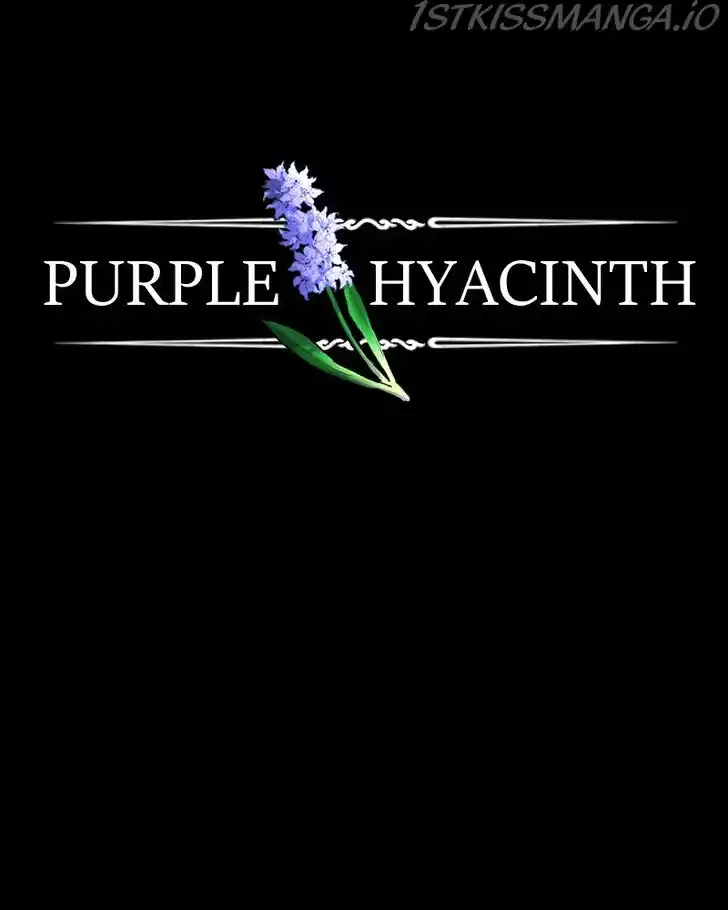 Purple Hyacinth Ch.147