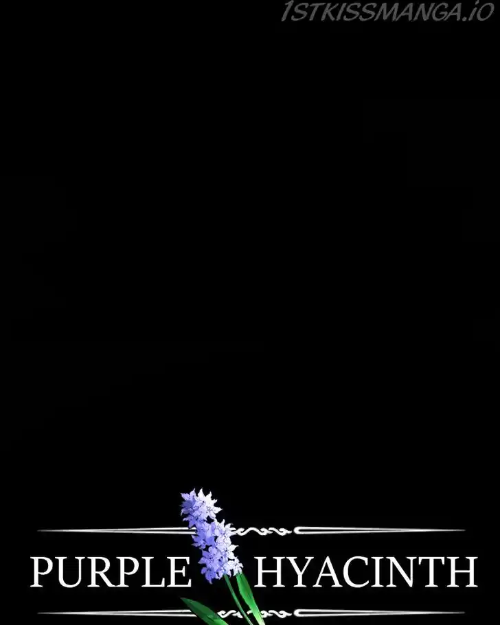 Purple Hyacinth Ch.148