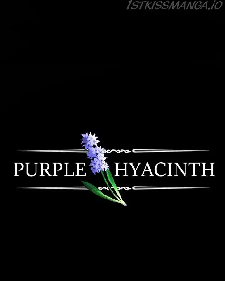 Purple Hyacinth Ch.149