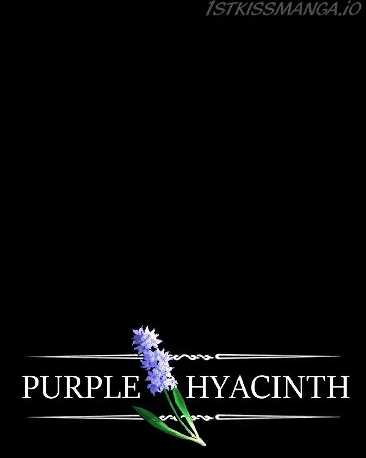 Purple Hyacinth Ch.152