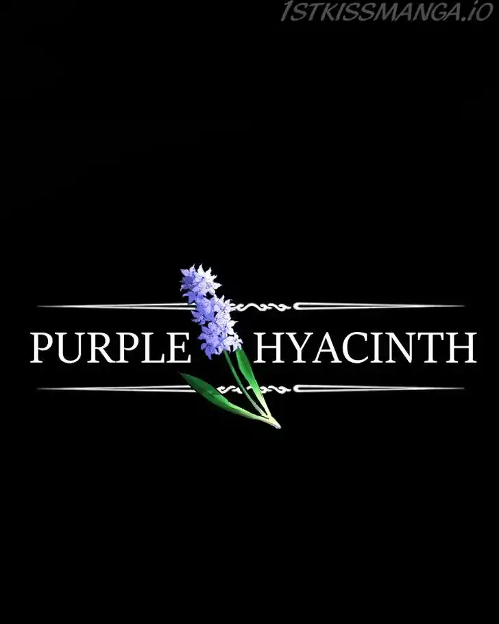 Purple Hyacinth Ch.153