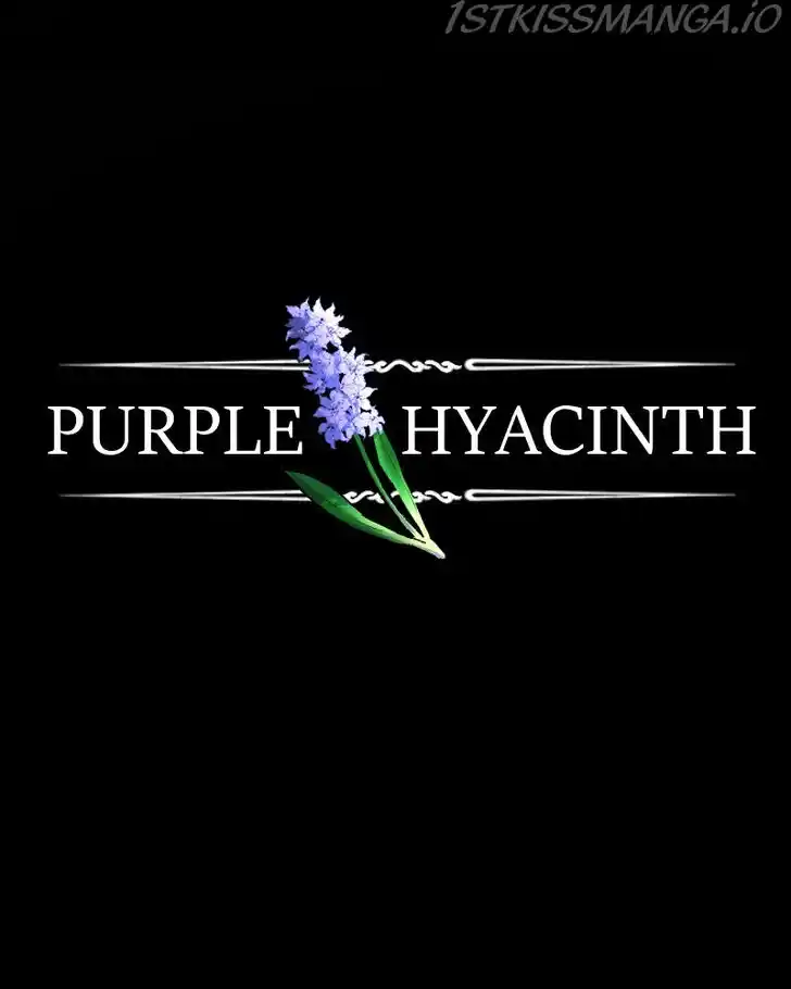 Purple Hyacinth Ch.154
