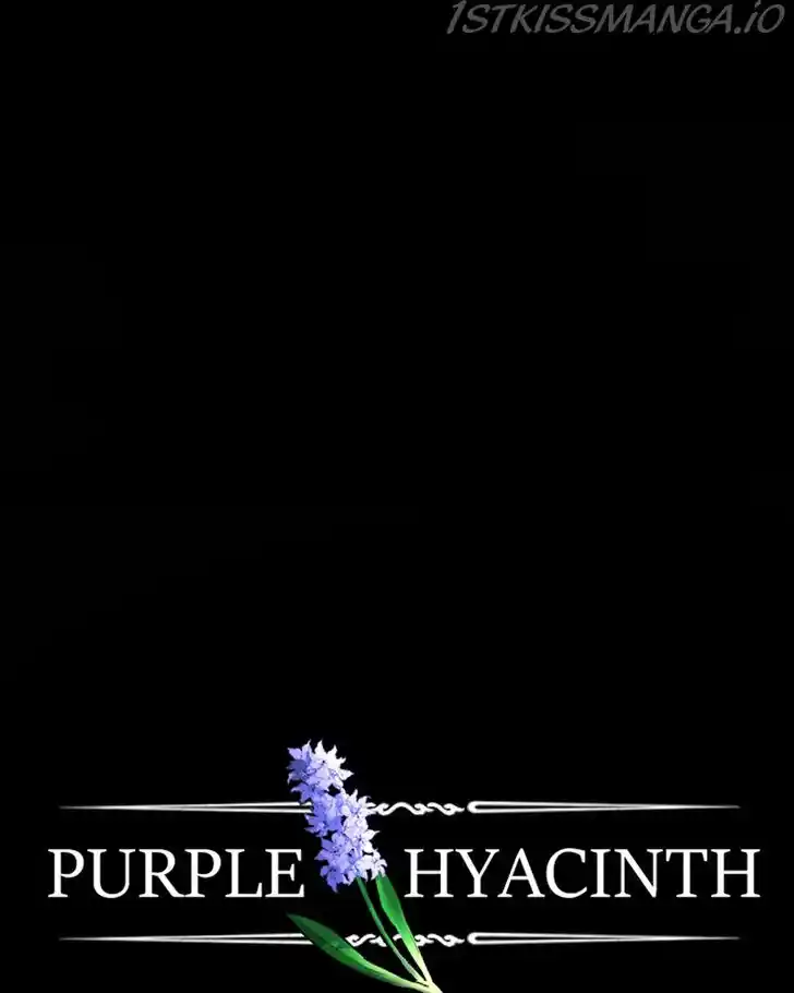Purple Hyacinth Ch.155