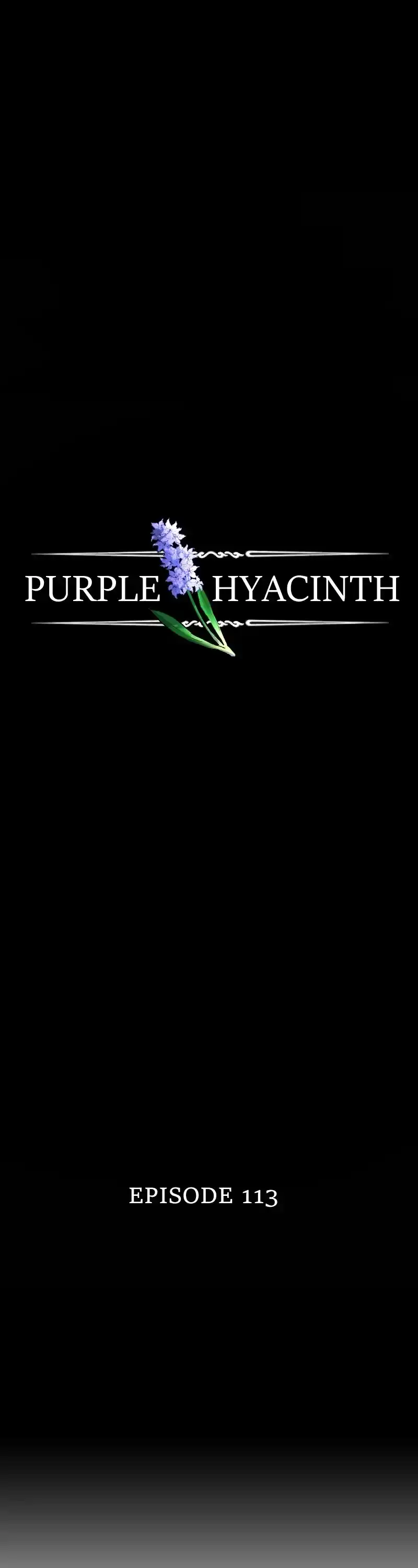 Purple Hyacinth Chapter 117