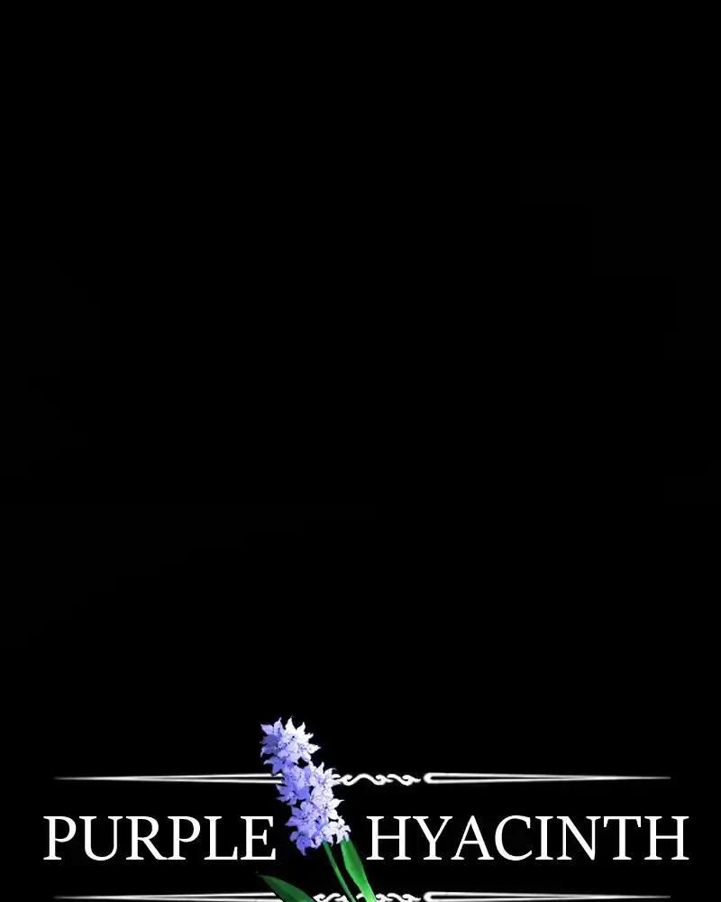 Purple Hyacinth Chapter 119