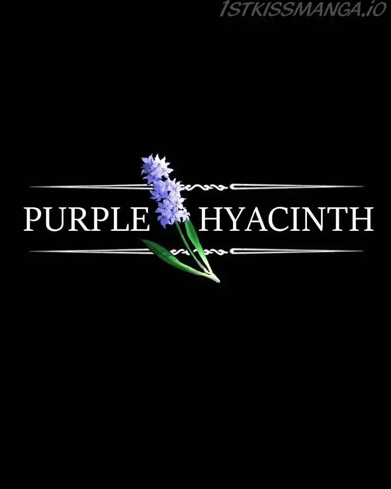 Purple Hyacinth Chapter 124