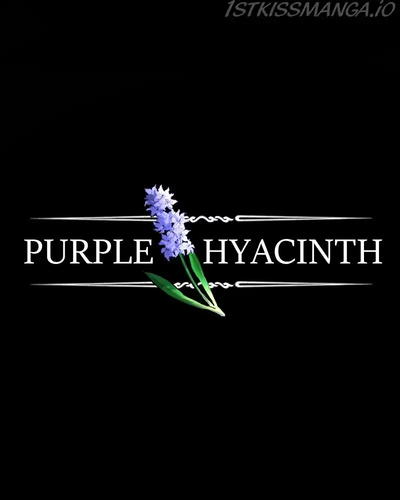 Purple Hyacinth Chapter 126