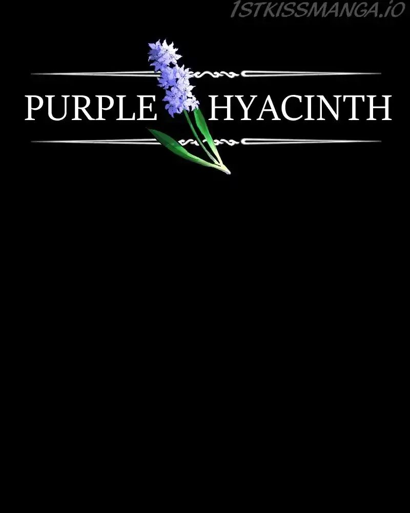 Purple Hyacinth Chapter 127