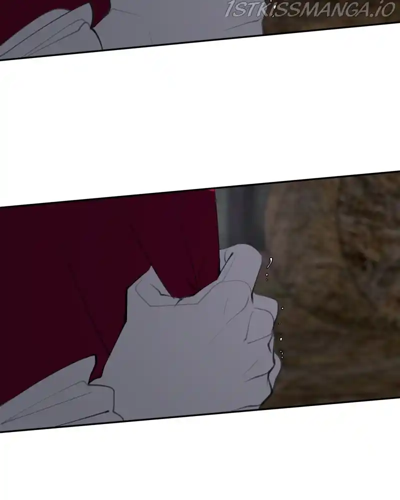 Purple Hyacinth Chapter 127