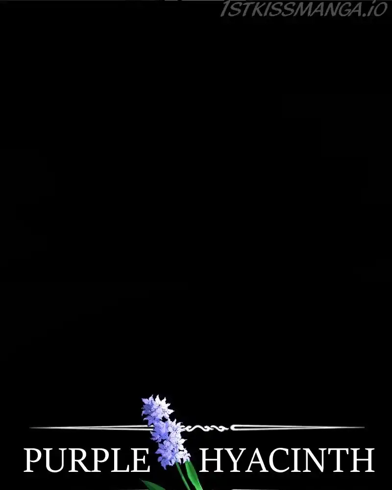 Purple Hyacinth Chapter 130