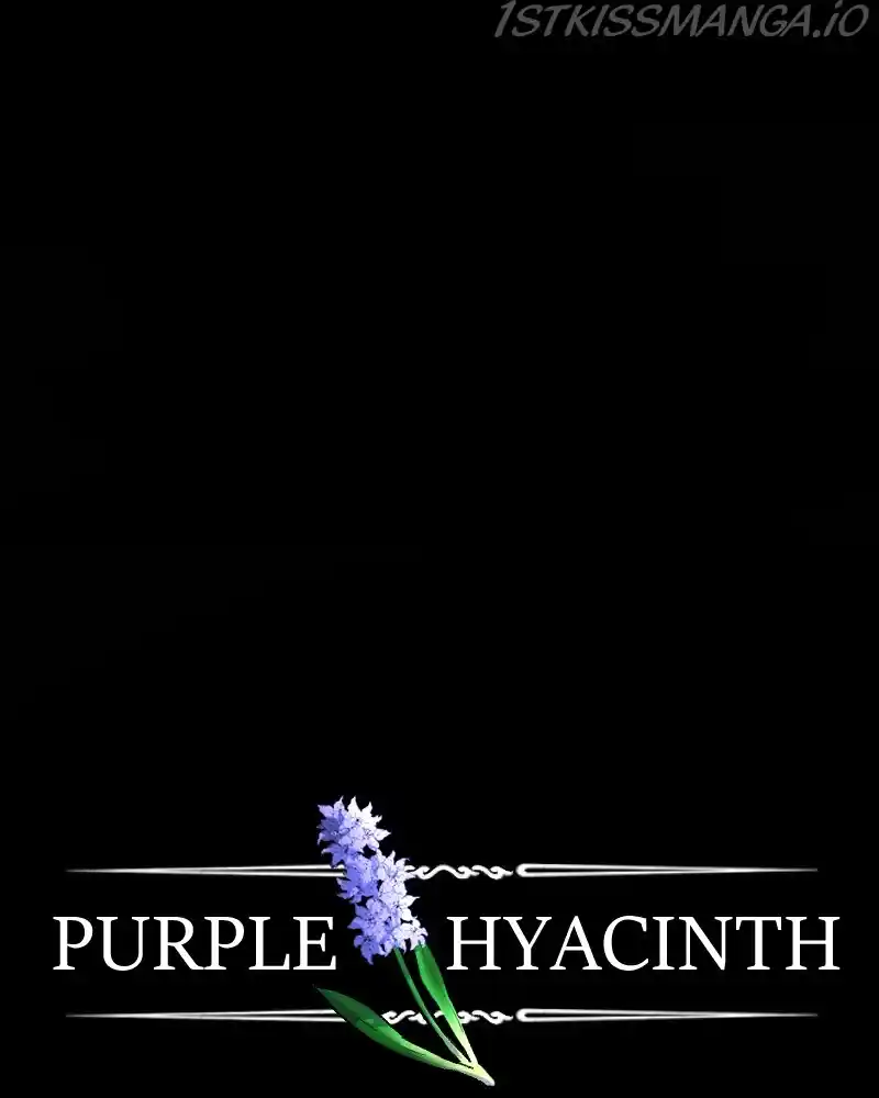 Purple Hyacinth Chapter 131