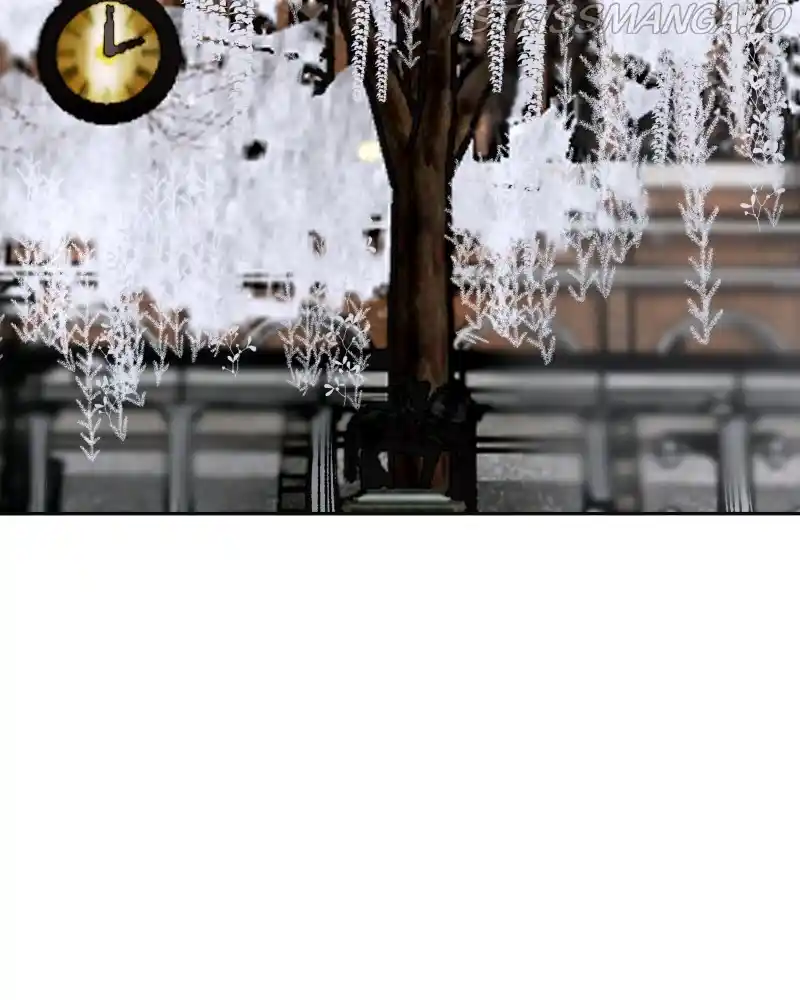 Purple Hyacinth Chapter 138