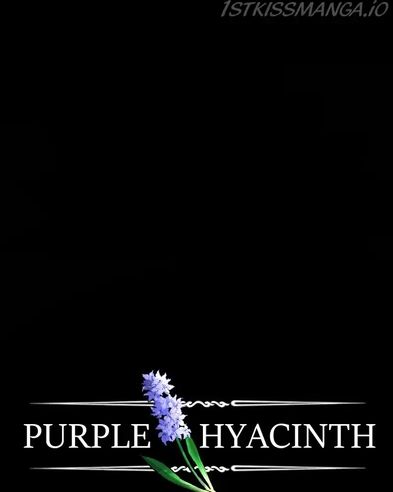Purple Hyacinth Chapter 156