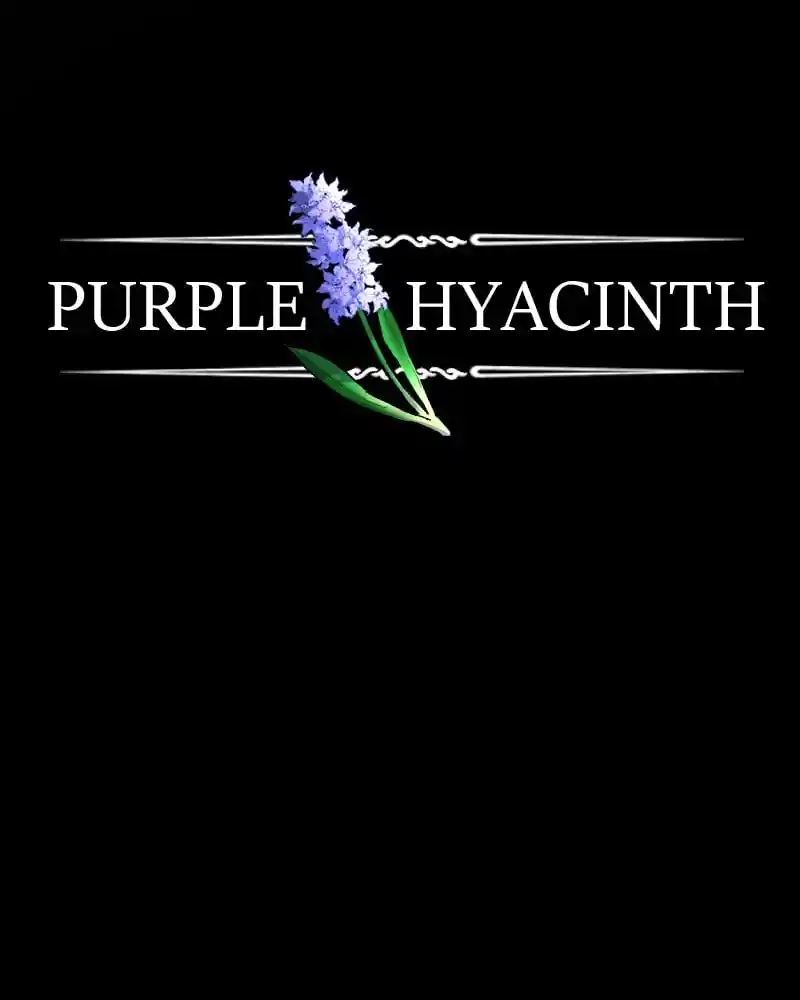 Purple Hyacinth Chapter 158