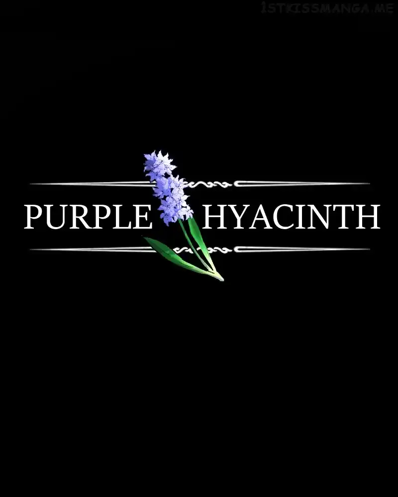 Purple Hyacinth Chapter 162