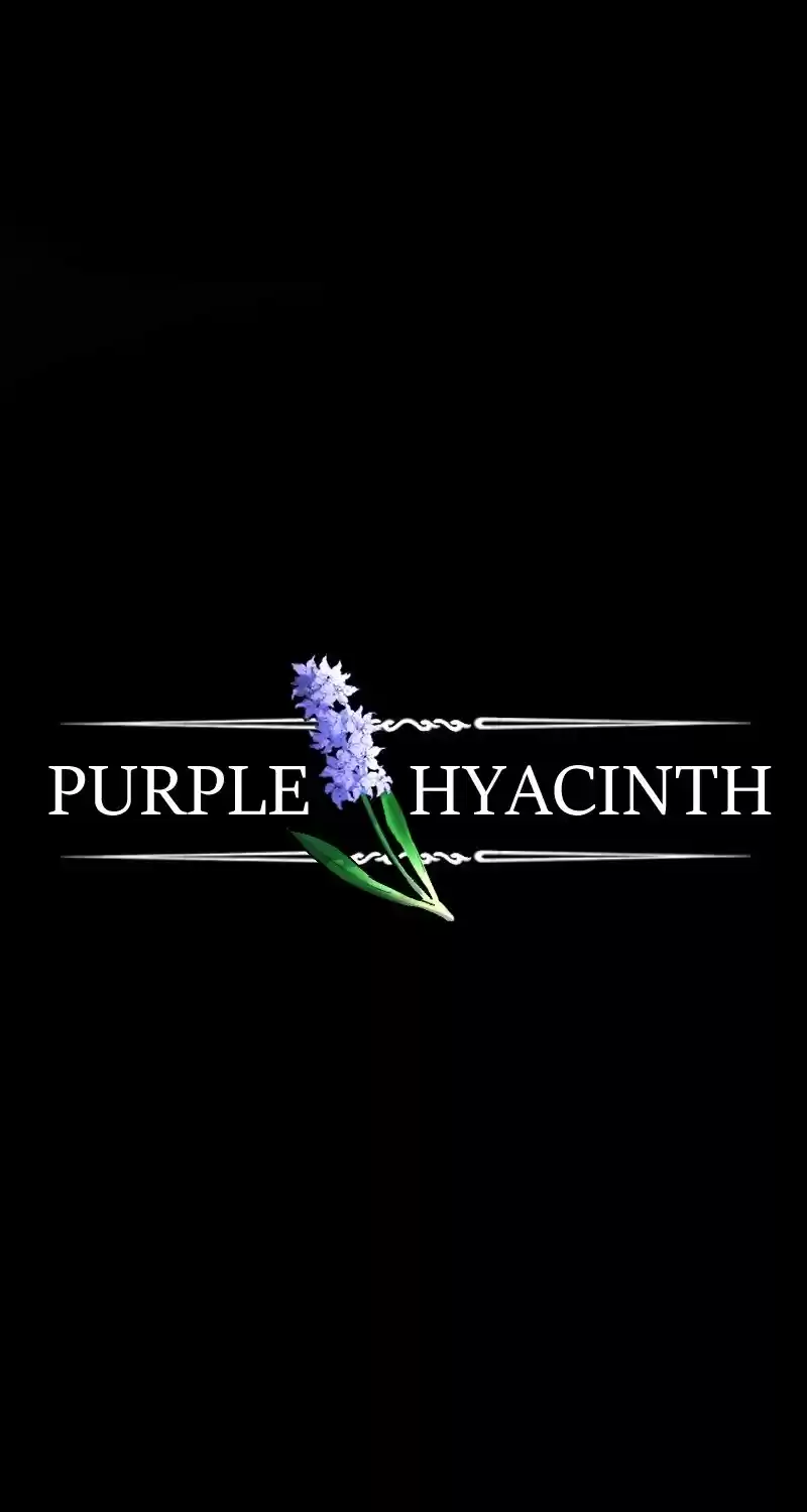 Purple Hyacinth Chapter 31