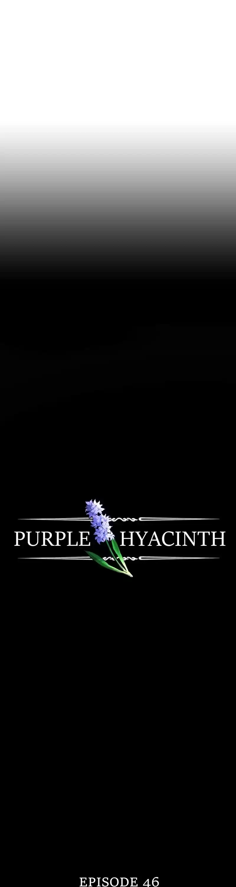 Purple Hyacinth Chapter 46
