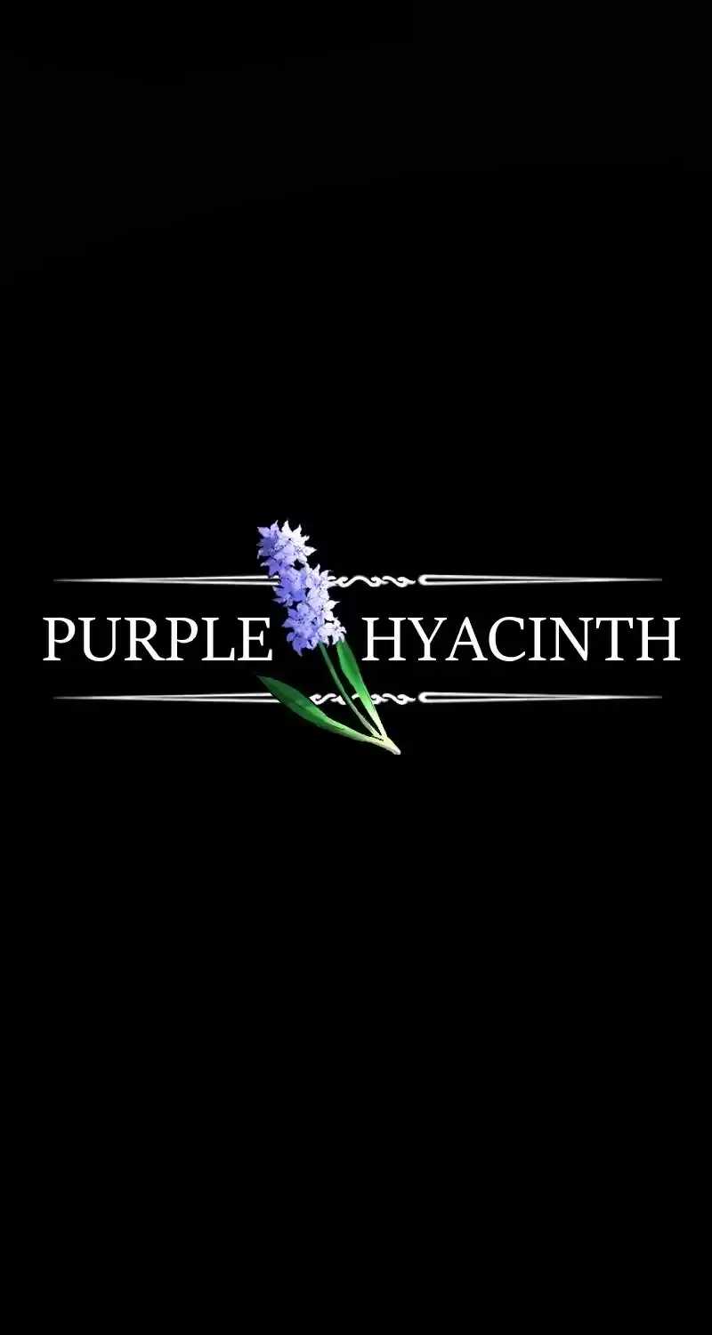 Purple Hyacinth Chapter 55