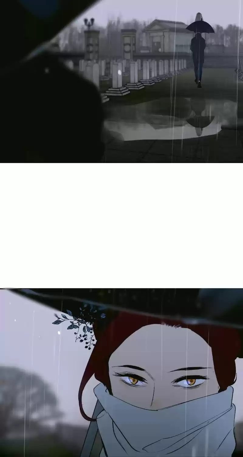 Purple Hyacinth Chapter 87