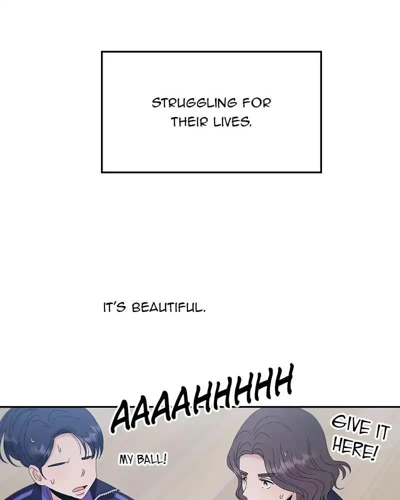 Pyramid Game Chapter 62