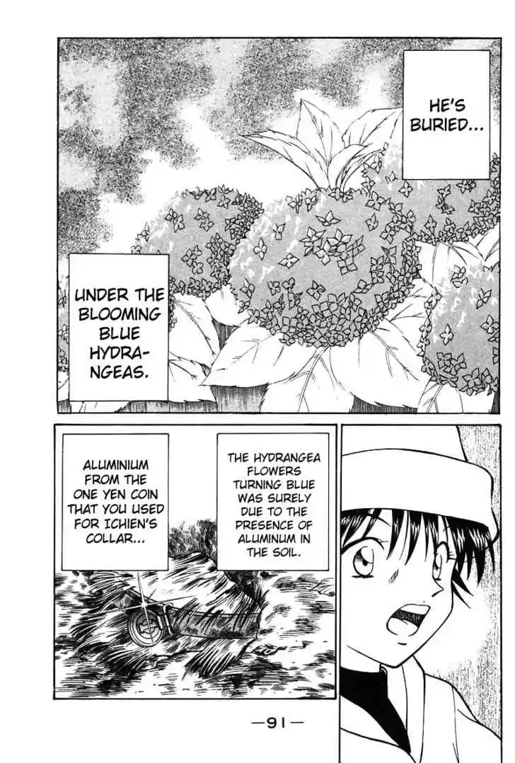 Q.E.D. - Shoumei Shuuryou 11.3