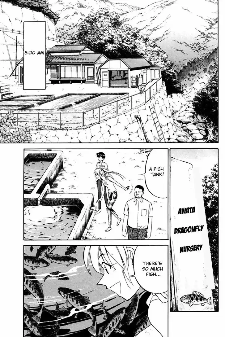 Q.E.D. - Shoumei Shuuryou 31.1