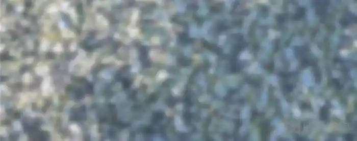 Queen Of Poison: The Legend Of A Super Agent, Doctor And Princess Chapter 124