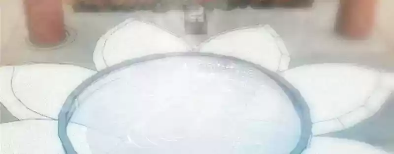 Queen of Poison: The Legend of a Super Agent, Doctor and Princess Chapter 15: