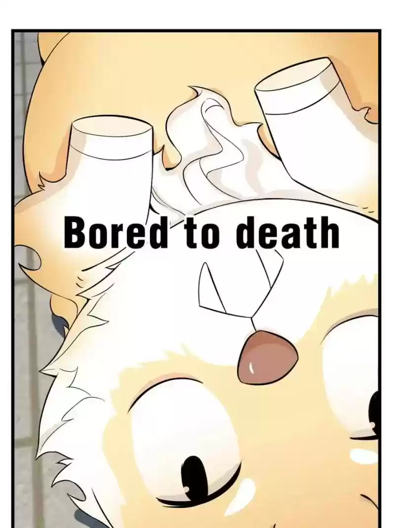 Queen of Poison: The Legend of a Super Agent, Doctor and Princess Chapter 22: