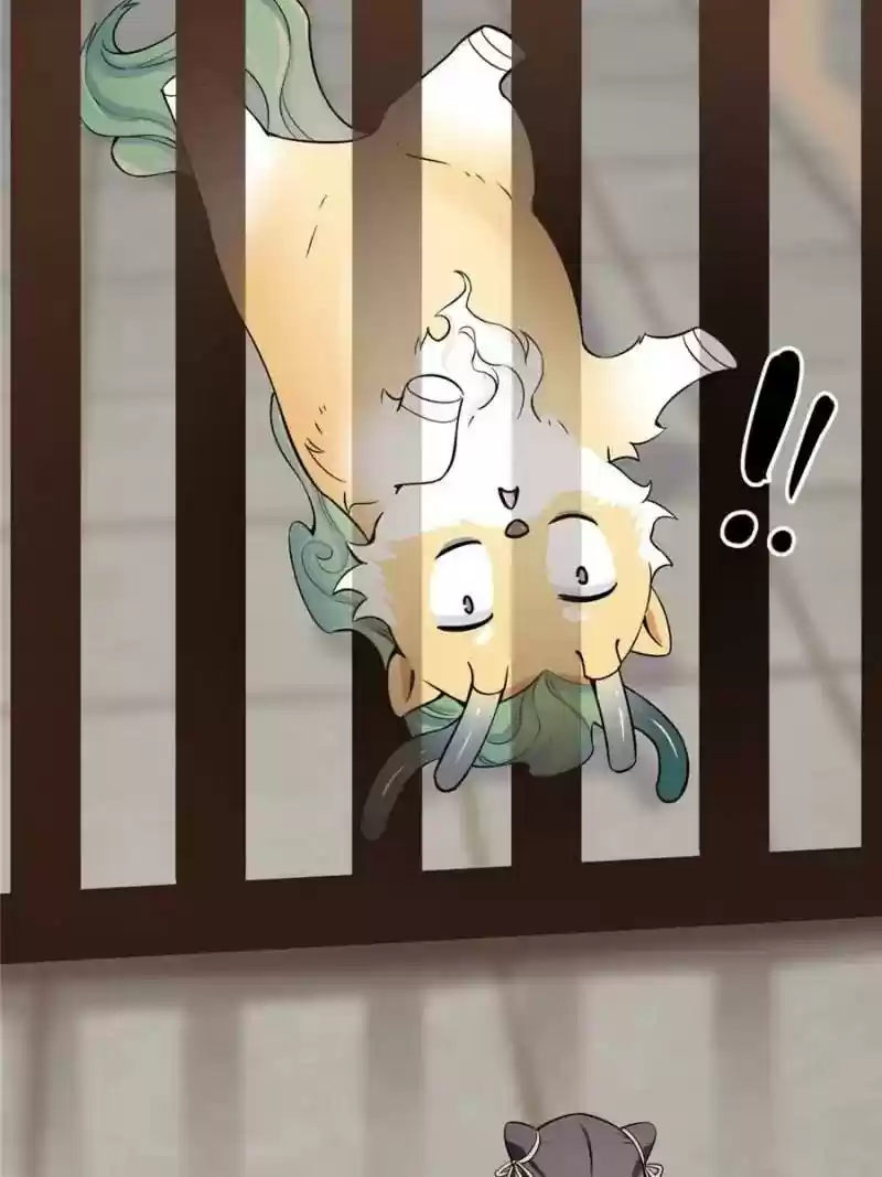 Queen of Poison: The Legend of a Super Agent, Doctor and Princess Chapter 22: