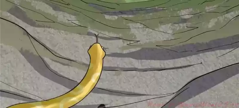 Queen of Poison: The Legend of a Super Agent, Doctor and Princess Chapter 26: