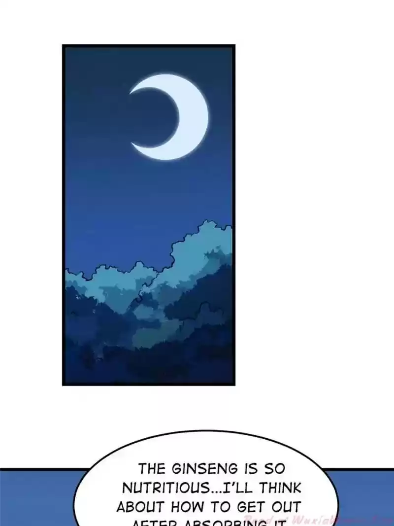 Queen of Poison: The Legend of a Super Agent, Doctor and Princess Chapter 33: