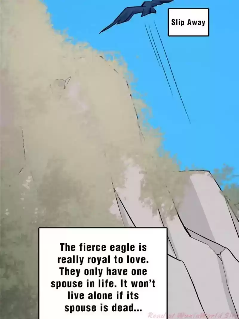 Queen of Poison: The Legend of a Super Agent, Doctor and Princess Chapter 42: