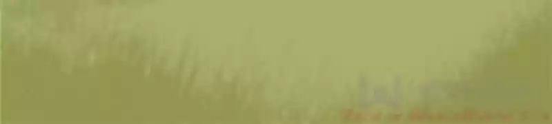 Queen of Poison: The Legend of a Super Agent, Doctor and Princess Chapter 42: