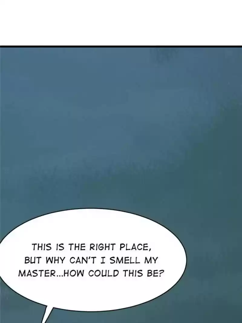 Queen Of Posion: The Legend Of A Super Agent, Doctor And Princess Chapter 112