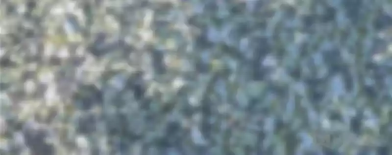 Queen Of Posion: The Legend Of A Super Agent, Doctor And Princess Chapter 124