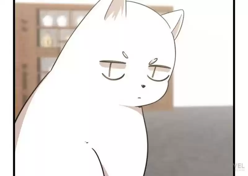 Queen Of Posion: The Legend Of A Super Agent, Doctor And Princess Chapter 137