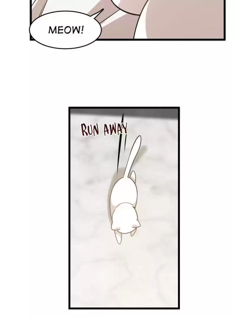 Queen Of Posion: The Legend Of A Super Agent, Doctor And Princess Chapter 138