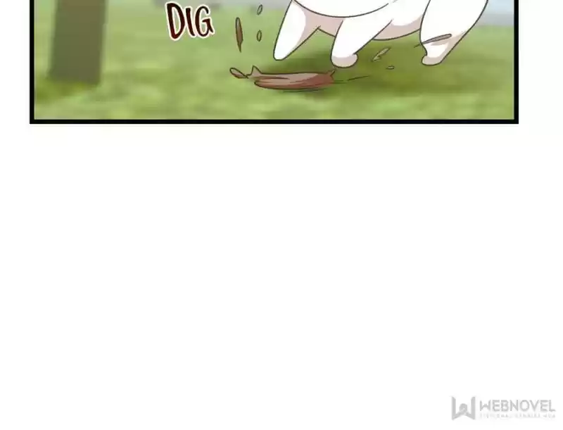 Queen Of Posion: The Legend Of A Super Agent, Doctor And Princess Chapter 138