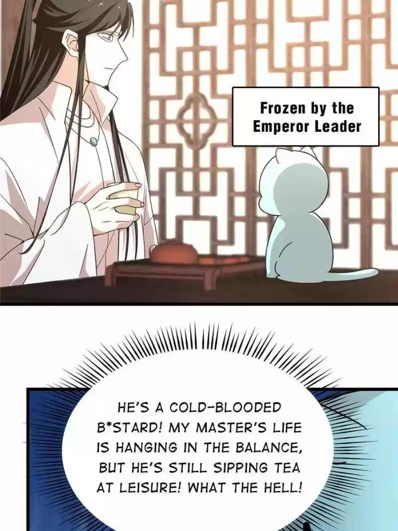 Queen Of Posion: The Legend Of A Super Agent, Doctor And Princess Chapter 144