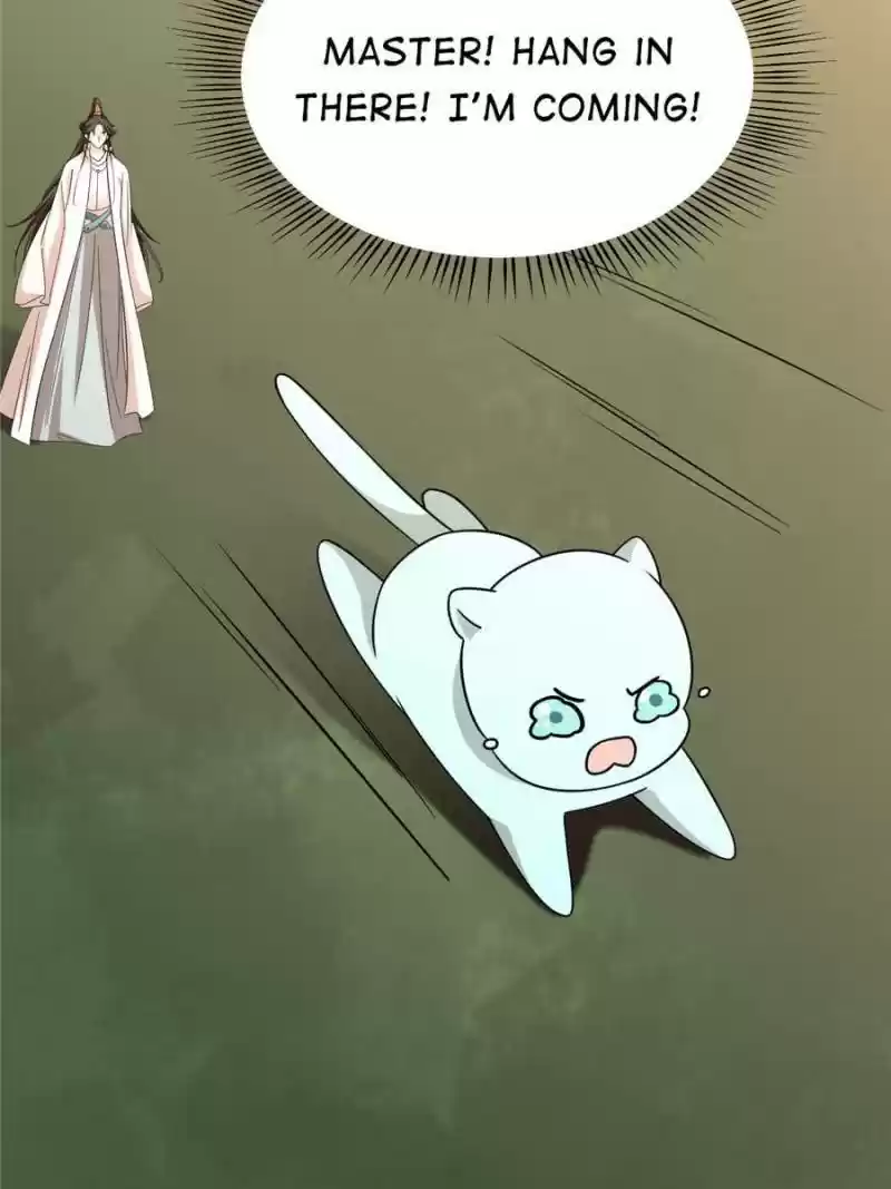 Queen Of Posion: The Legend Of A Super Agent, Doctor And Princess Chapter 144