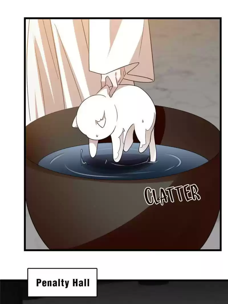 Queen Of Posion: The Legend Of A Super Agent, Doctor And Princess Chapter 144