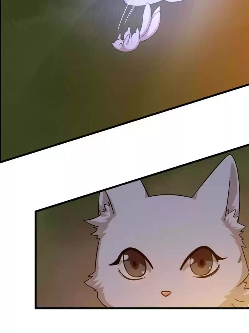 Queen Of Posion: The Legend Of A Super Agent, Doctor And Princess Chapter 162