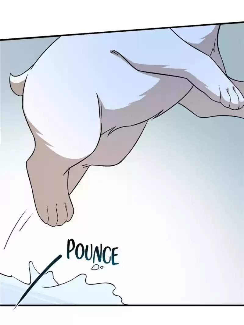 Queen Of Posion: The Legend Of A Super Agent, Doctor And Princess Chapter 206