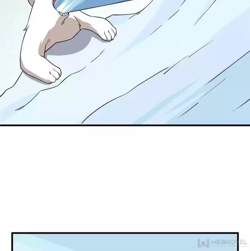 Queen Of Posion: The Legend Of A Super Agent, Doctor And Princess Chapter 206