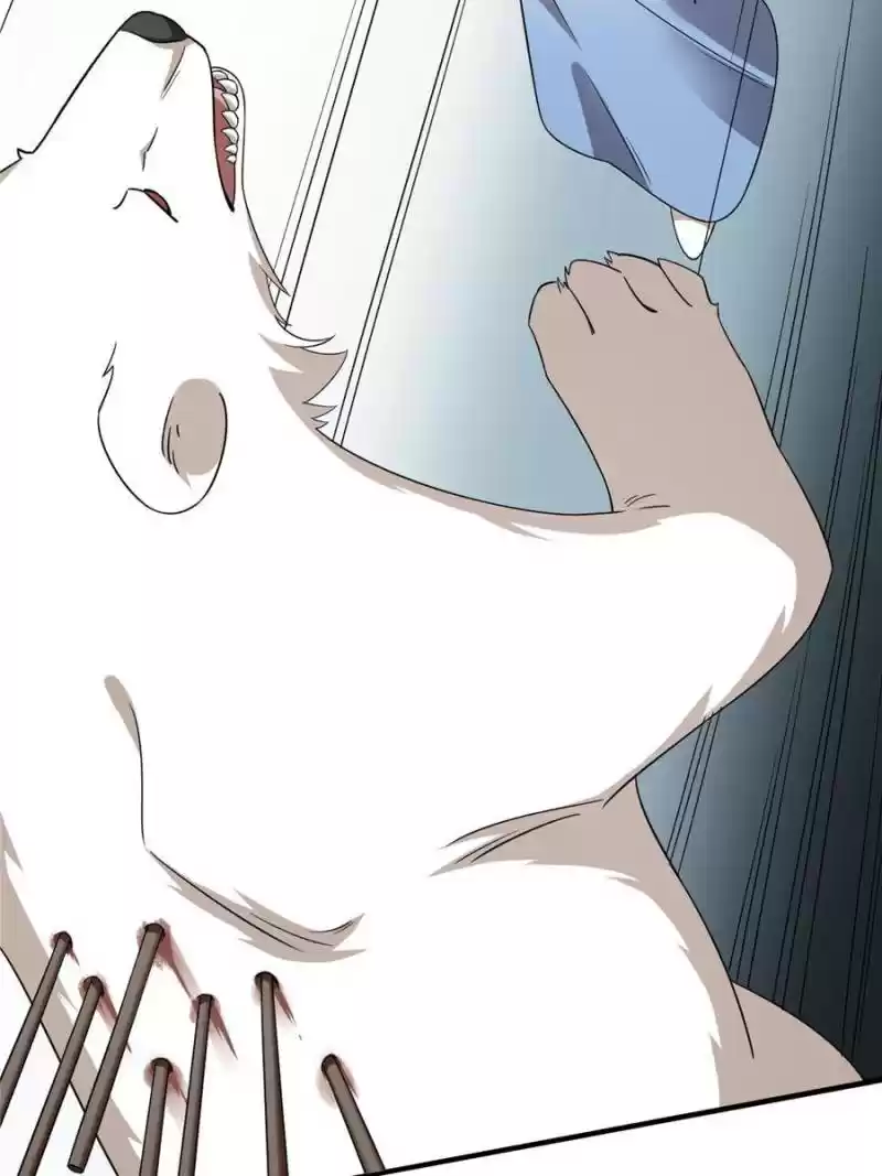 Queen Of Posion: The Legend Of A Super Agent, Doctor And Princess Chapter 208