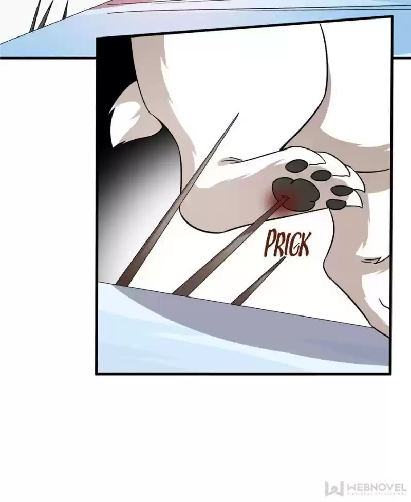 Queen Of Posion: The Legend Of A Super Agent, Doctor And Princess Chapter 208